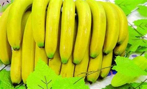 2050年香蕉或将完全消失 原因是什么