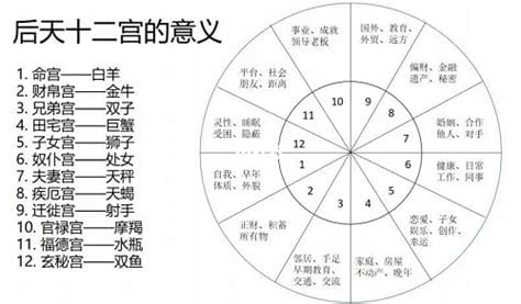 星盘12宫位各代表的意义 如何使用星盘